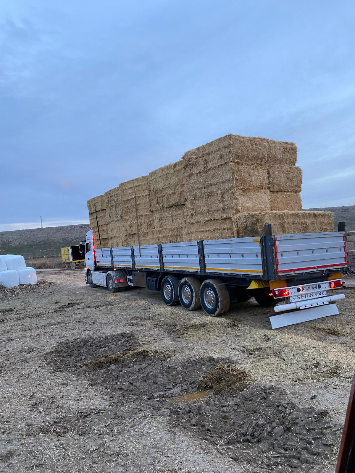 sak-tarim-yonca-fotograflar (1) sak-tarim-yonca-fotograflar (1)