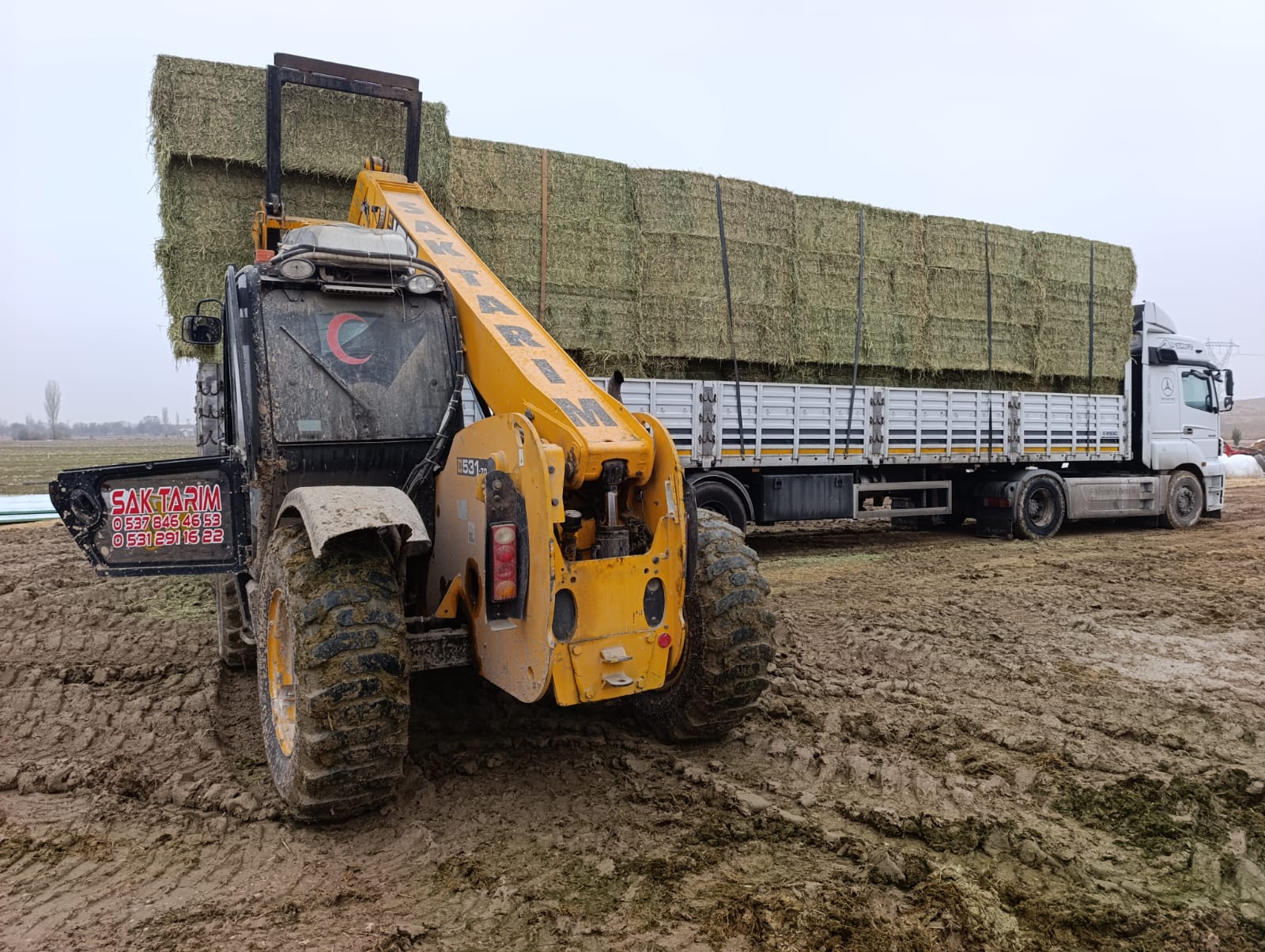 sak-tarim-yonca-fotograflar (13) sak-tarim-yonca-fotograflar (13)