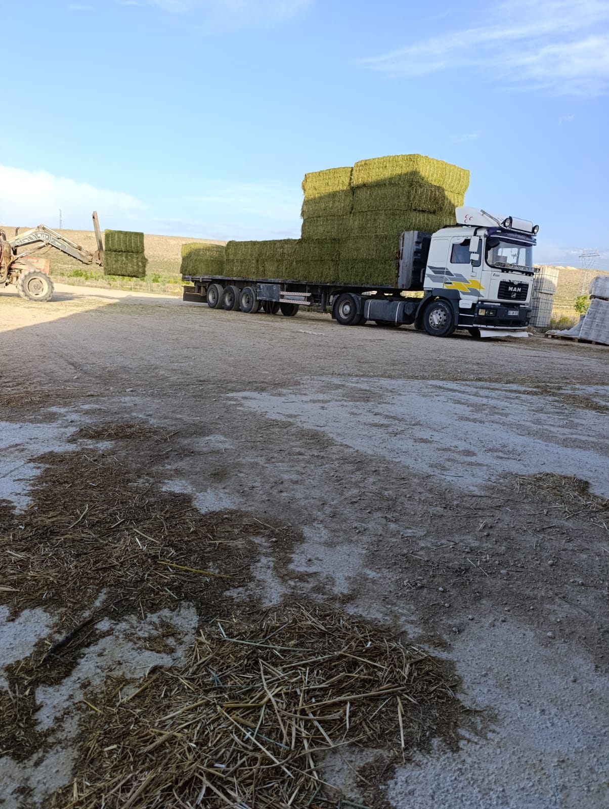 sak-tarim-yonca-fotograflar (19) sak-tarim-yonca-fotograflar (19)