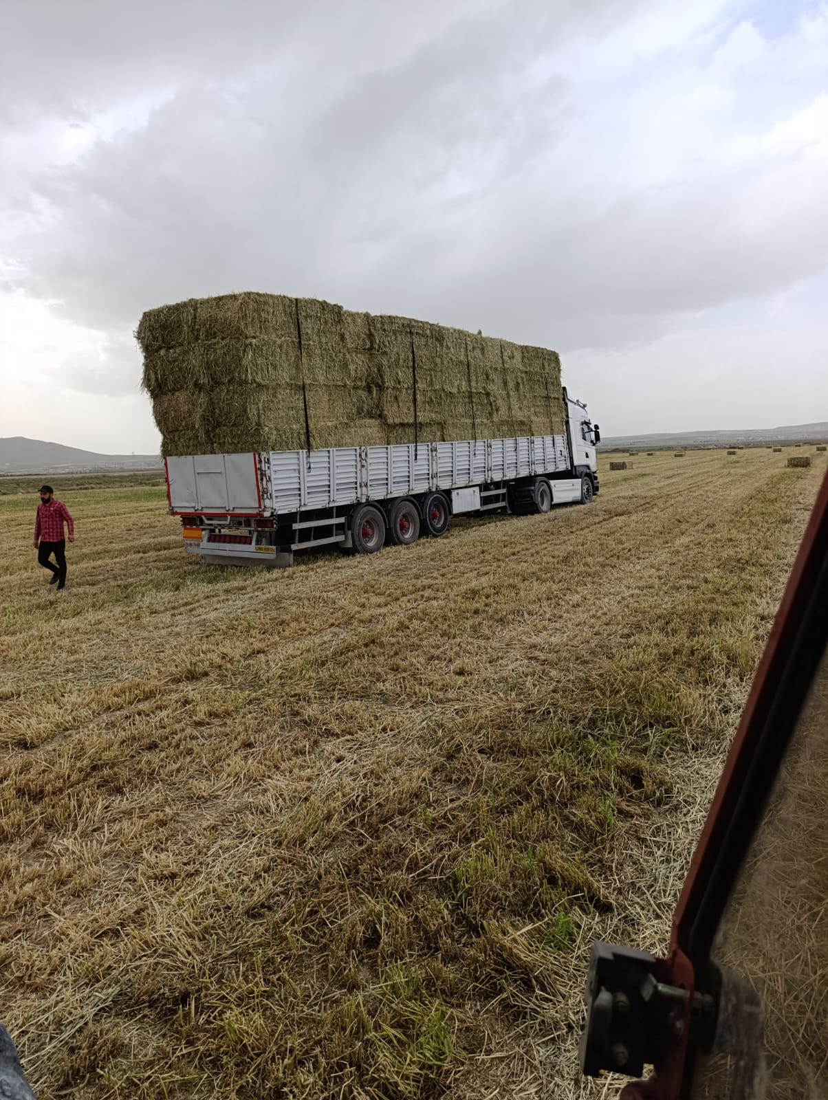 sak-tarim-yonca-fotograflar (22) sak-tarim-yonca-fotograflar (22)