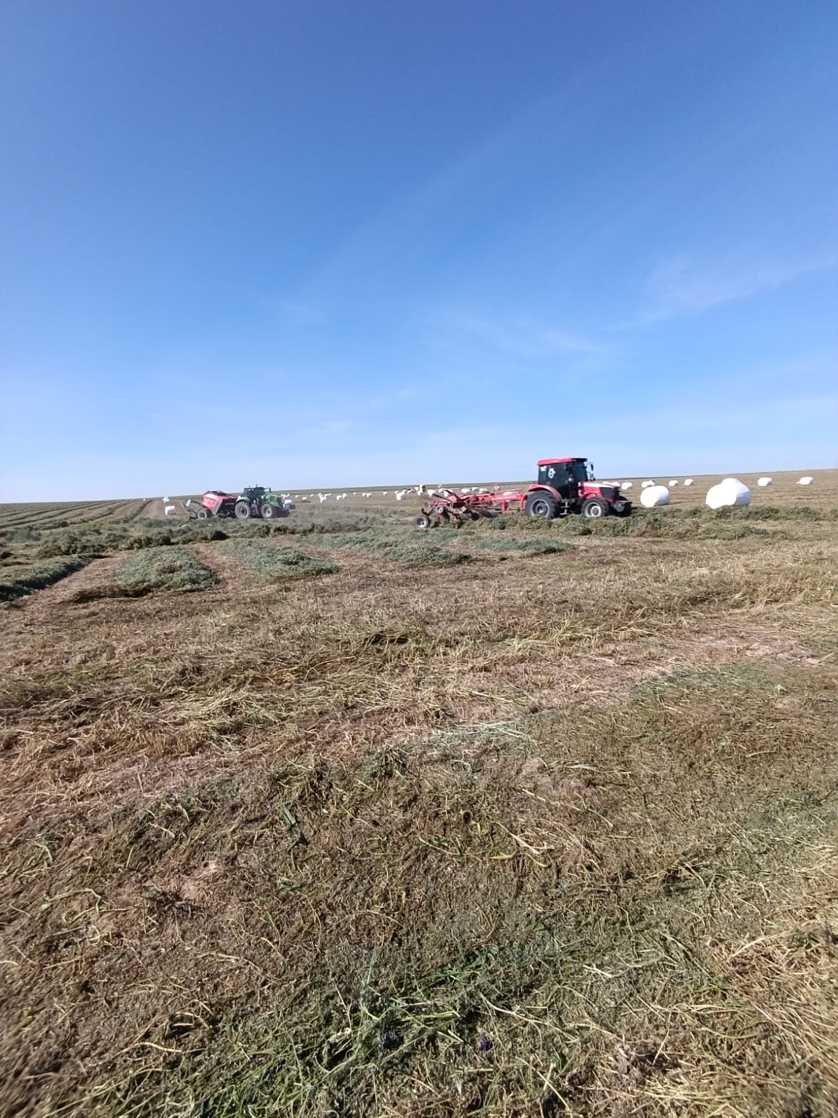 sak-tarim-yonca-fotograflar (23) sak-tarim-yonca-fotograflar (23)