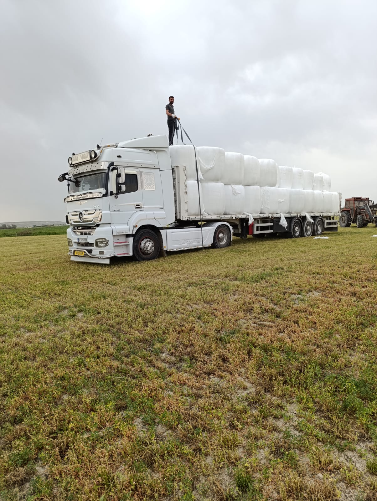 sak-tarim-yonca-fotograflar (27) sak-tarim-yonca-fotograflar (27)