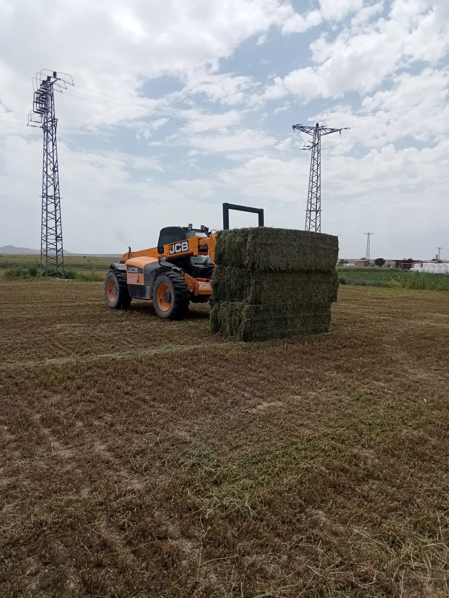 sak-tarim-yonca-fotograflar (3) sak-tarim-yonca-fotograflar (3)