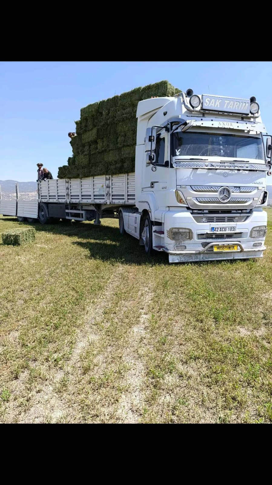 sak-tarim-yonca-fotograflar (33) sak-tarim-yonca-fotograflar (33)