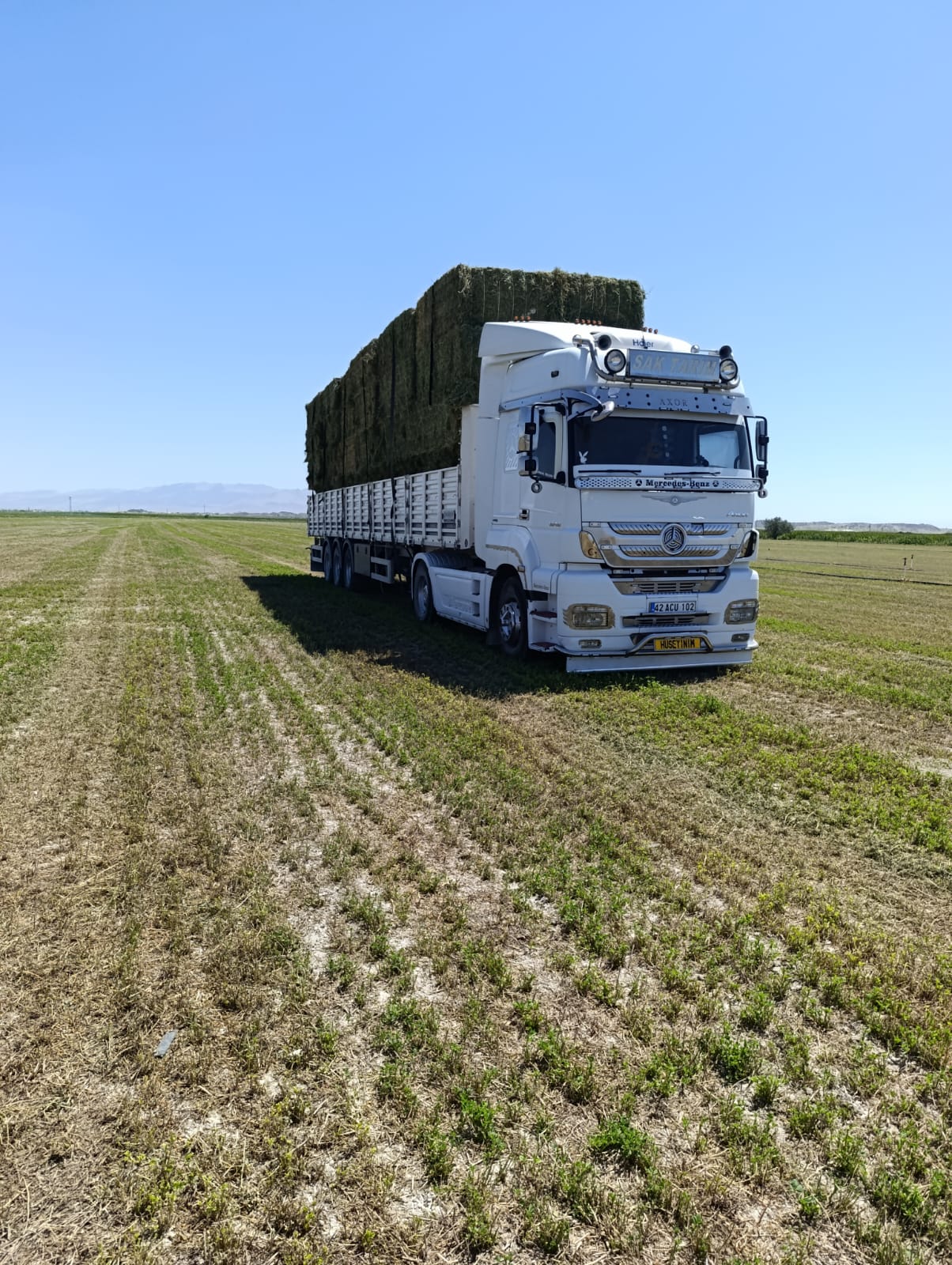 sak-tarim-yonca-fotograflar (34) sak-tarim-yonca-fotograflar (34)