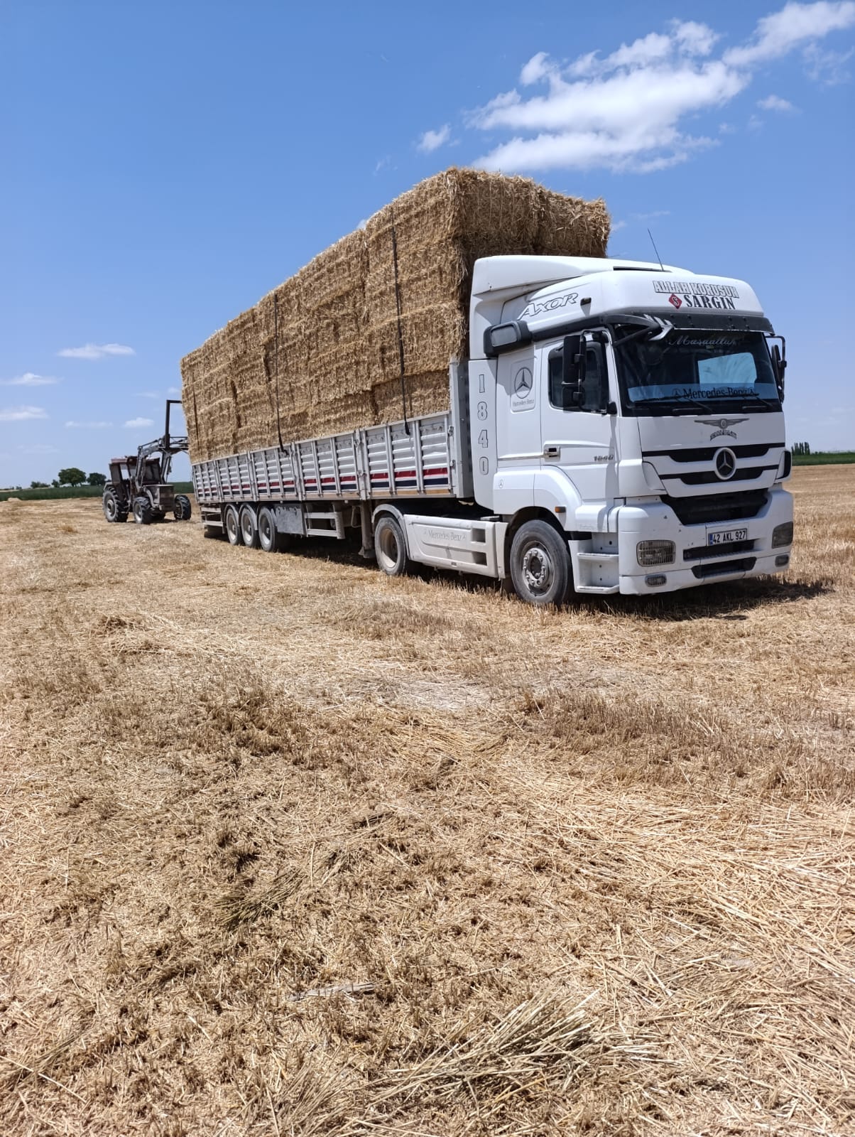 sak-tarim-yonca-fotograflar (36) sak-tarim-yonca-fotograflar (36)