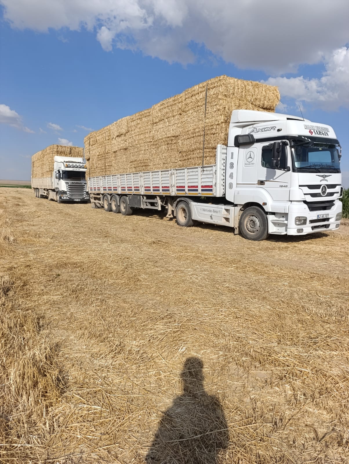 sak-tarim-yonca-fotograflar (37) sak-tarim-yonca-fotograflar (37)