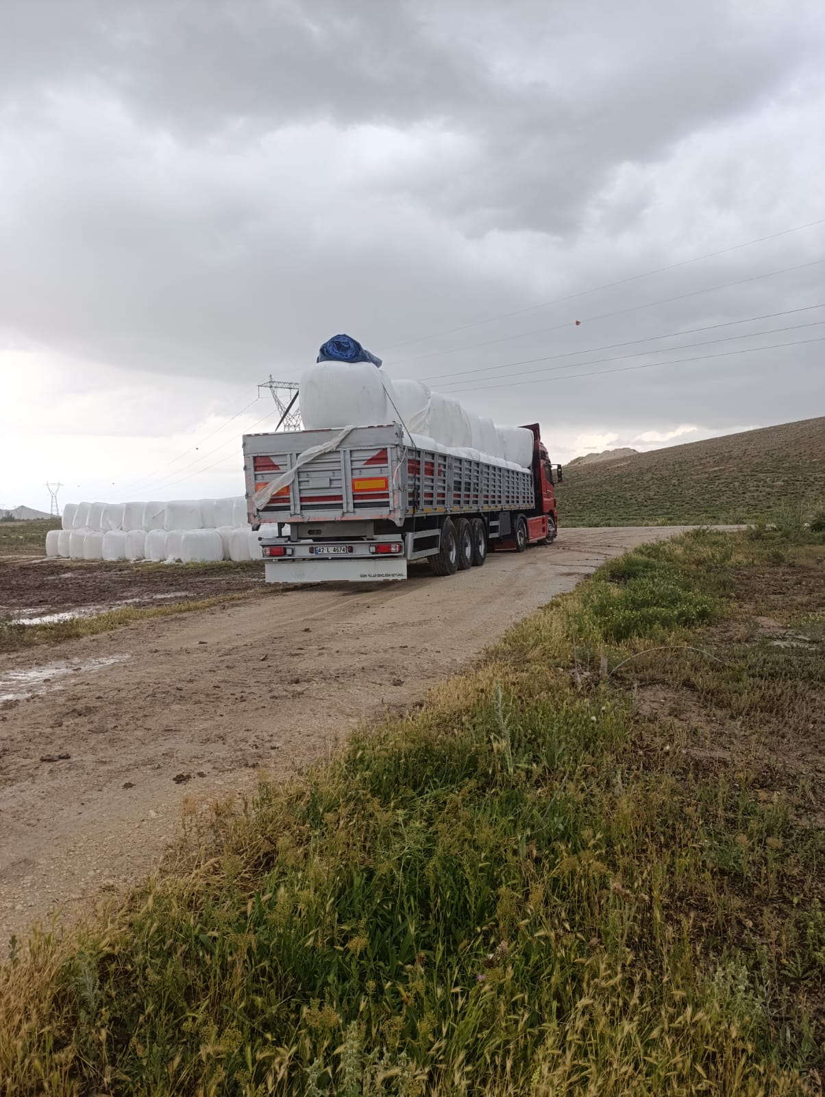 sak-tarim-yonca-fotograflar (39) sak-tarim-yonca-fotograflar (39)