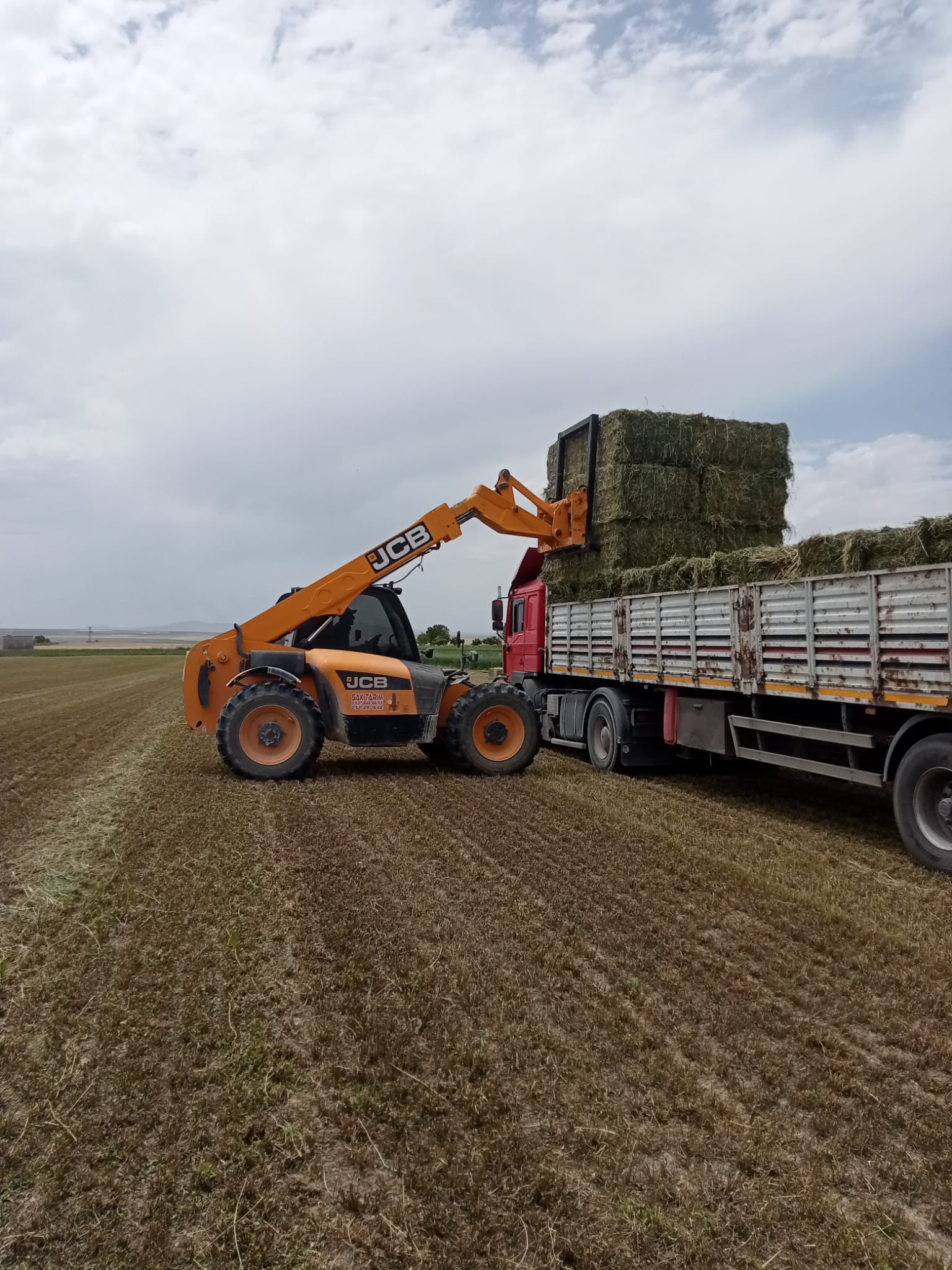 sak-tarim-yonca-fotograflar (4) sak-tarim-yonca-fotograflar (4)