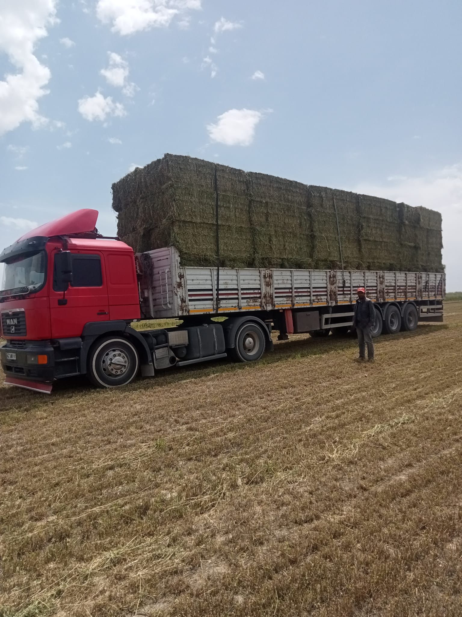 sak-tarim-yonca-fotograflar (5) sak-tarim-yonca-fotograflar (5)