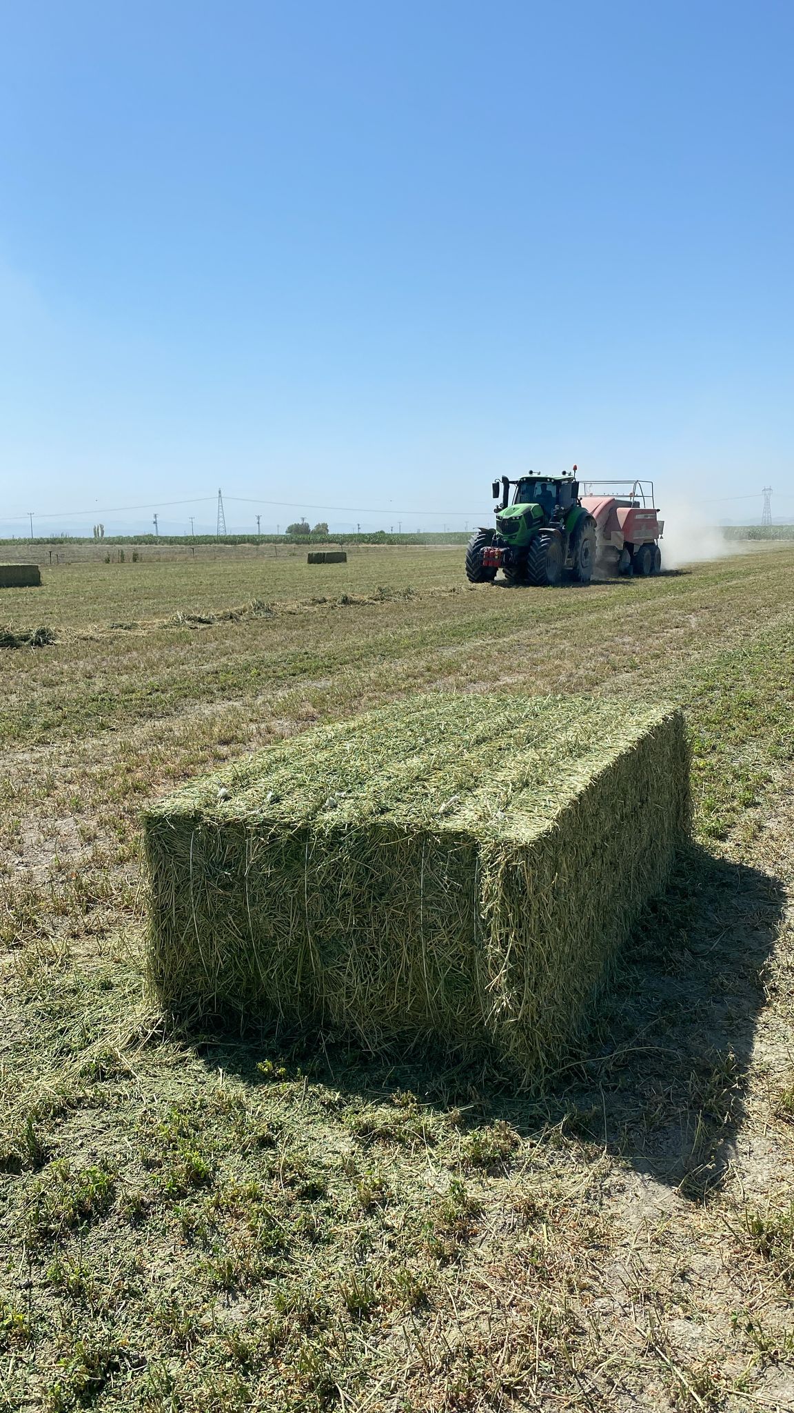 sak-tarim-yonca-fotograflar (7) sak-tarim-yonca-fotograflar (7)