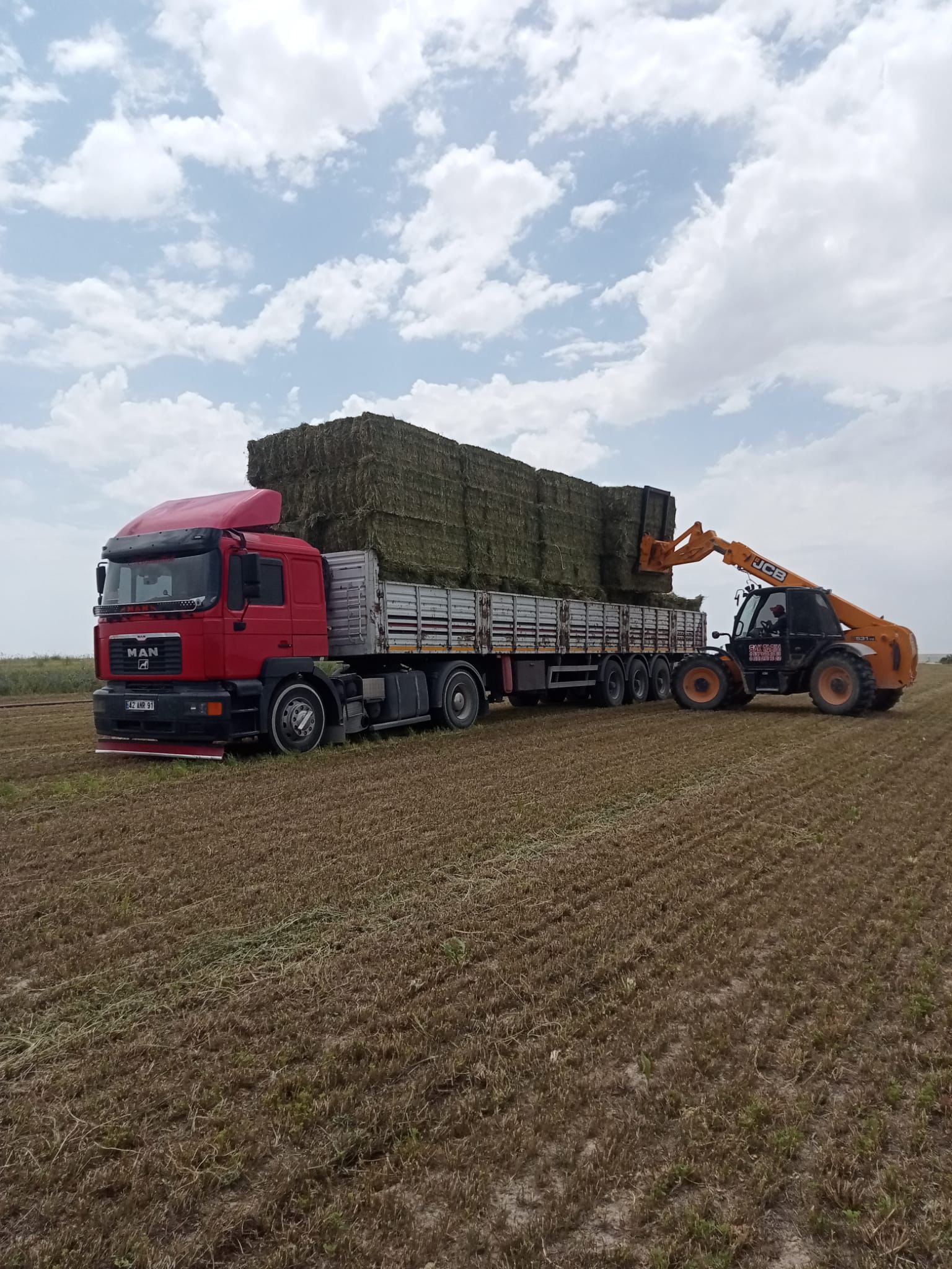 sak-tarim-yonca-fotograflar (8) sak-tarim-yonca-fotograflar (8)